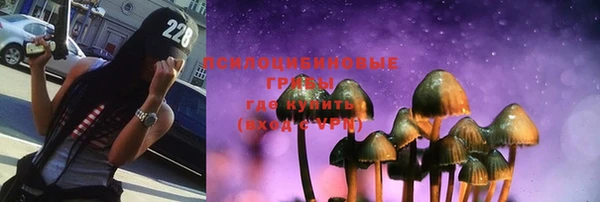 соль ск Алексин