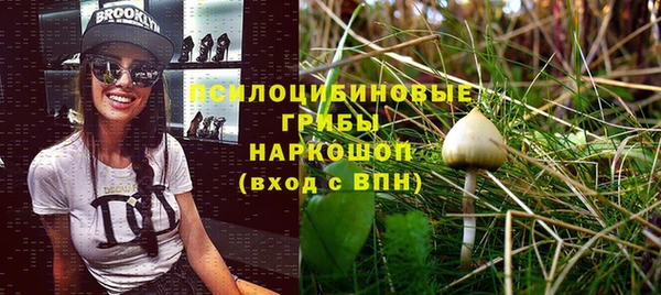сатива Алексеевка