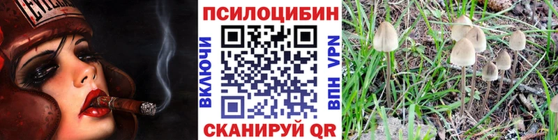 Псилоцибиновые грибы MAGIC MUSHROOMS  наркотики  Ардон 